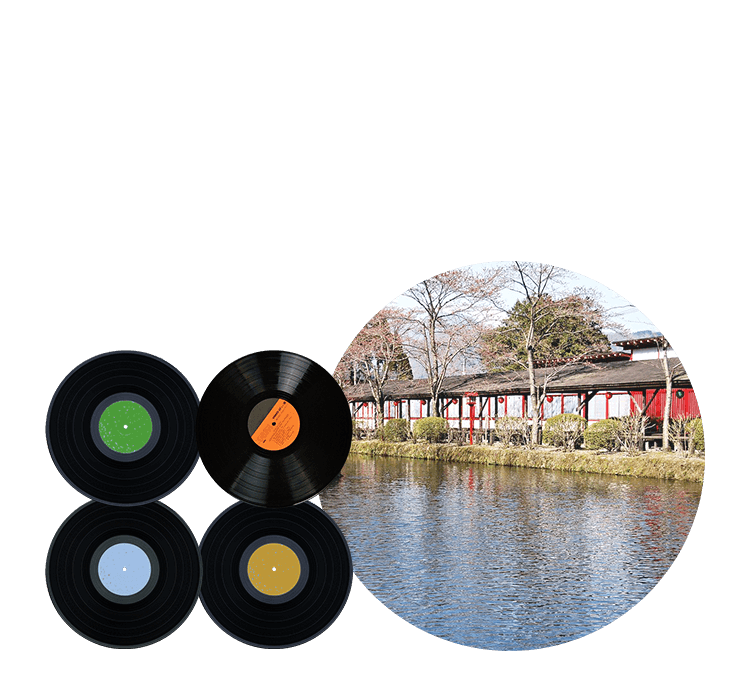 栃木県でレコード売るならバイセル