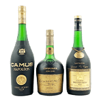 カミュナポレオン