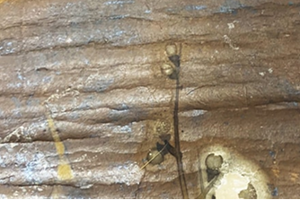 表面に剥がれがある