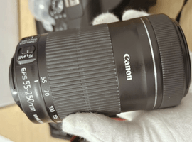 Canon：レンズ／Canon：交換レンズ付きボディなど2点