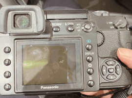 Panasonic：DMC-L1 + ZUIKO DIGITAL ED 70-300mm F4.0-5.6／SONY：交換レンズ付きボディなど4点