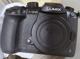 Panasonic：LUMIX DC-GH5 ボディなど5点