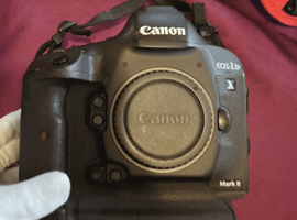 Canon：ボディ／Nikon：交換レンズ付きボディなど8点