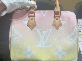 LOUIS VUITTON スピーディ・バンドリエールなど10点