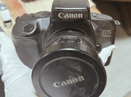 Canon：EOS 750 + EF 15mm F2.8 FISHEYEなど5点