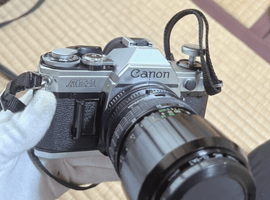 Canon：交換レンズ付きボディ／RICOH：ボディなど6点