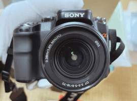 SONY：交換レンズ付きボディ／Canon：ボディなど3点