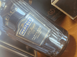 ブランデー：MARTELL（ナポレオン スペシャルリザーブ）／ブランデー：CAMUS（XO ロングネック）など9点