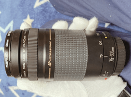 Canon：レンズ／Canon：交換レンズ付きボディなど4点