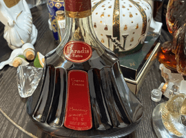 ブランデー／Hennessy：パラディ エクストラ 旧 グリーンボトル（状態ランク：B）など14点