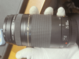 Canon：レンズ／SONY：ボディなど5点