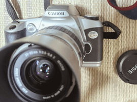 Canon：交換レンズ付きボディ／OLYMPUS：ボディなど4点