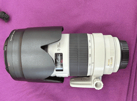 Canon：EF 70-200mm F2.8L IS II USMなど8点