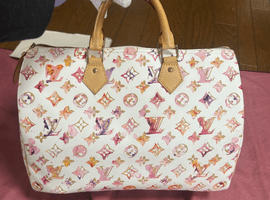LOUIS VUITTON / モノグラム ウォーターカラー / スピーディ 30 / M95751 / 状態ランク：Bなど6点