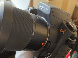 SONY：交換レンズ付きボディ／OLYMPUS：ボディなど4点