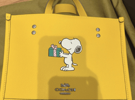 COACH / ce918など5点