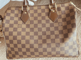 LOUIS VUITTON / ダミエ / スピーディ 30 旧型 / N41531など5点