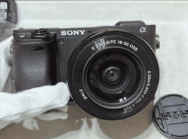 SONY：交換レンズ付きボディ／SONY：レンズなど2点