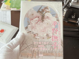 桜の通り抜け2009プルーフ貨幣セットなど9点