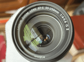 Canon：レンズ／Canon：レンズなど3点