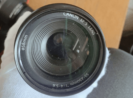 Canon：レンズ／Nikon：ボディなど3点