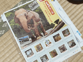 フレーム切手「よこはま動物園ズーラシア開園50周年記念」など