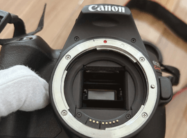 Canon：EOS Kiss X10 ボディ ブラックなど4点