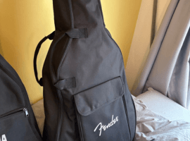 アコースティックギター：Fenderなど10点