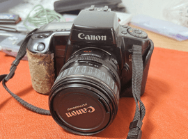 Canon：交換レンズ付きボディ／OLYMPUS：ボディなど4点