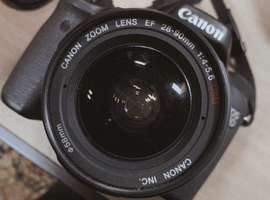 Canon：交換レンズ付きボディ／Nikon：ボディなど2点