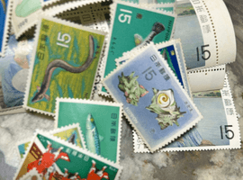 とらふぐ／さざえなど