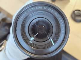Canon：EF 70-300mm F4-5.6 IS II USM／Canon：EOS Kiss X9など3点