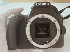 Canon：EOS Kiss X10 ボディ ブラックなど3点