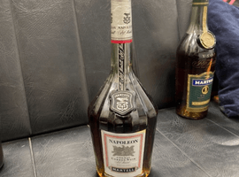 ブランデー：MARTELL（ナポレオン コルドンノアール グリーンボトル）／ブランデー：REMY MARTIN（XOスペシャル 旧クリアボトル）など9点
