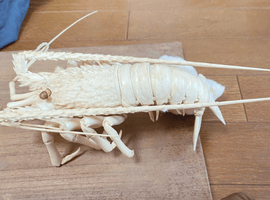 調度品：南海／茶器：尚美堂など4点
