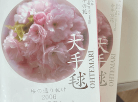 桜の通り抜け2006プルーフ貨幣セットなど11点（大阪府泉佐野市・出張買取）｜古銭の高価買取なら【バイセル】