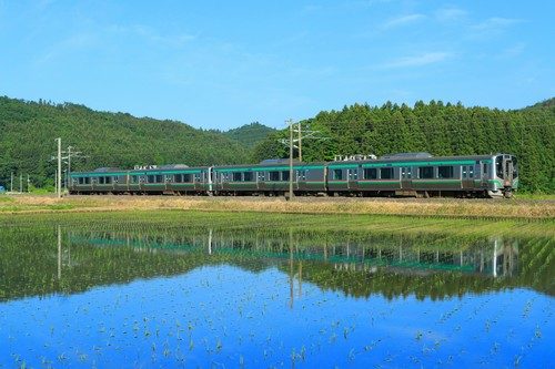 ◎ オレンジカード ◎　【北のなかまたち　クマゲラ】　1000円　オレカ　JR北海道　◎未使用