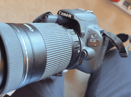Canon：EOS Kiss X9 ボディ ブラック＋EF-S 55-250mm F4-5.6 IS STM／OLYMPUS：PEN mini E-PM1 + M.ZUIKO DIGITAL 17mm F2.8など2点