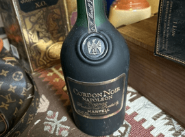 ブランデー：MARTELL（ナポレオン コルドンノワール フロスティボトル）／ブランデー：Hennessy（パラディ エクストラ 旧グリーンボトル 角のあるボトル）など14点