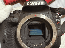 Canon：EOS Kiss X7 ボディなど5点