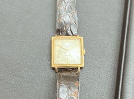 IWC／シャウハウゼン／状態ランク：Bなど8点