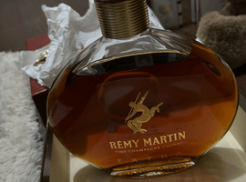 ブランデー／REMY MARTIN：エクストラ ハーフボトル（状態ランク：D）など4点