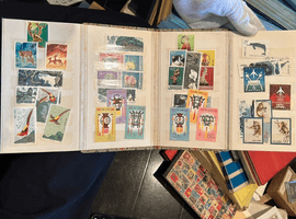 金魚／オオパンダなど