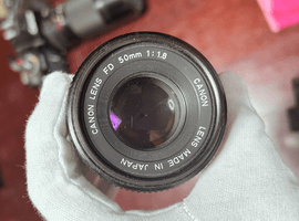 Canon：レンズ／Nikon：ボディなど11点