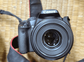 Canon：EOS Kiss X2 + EF-S 60mm F2.8 MACRO USM／Canon：レンズなど2点