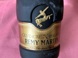 ブランデー：REMY MARTIN（セントーナポレオン）／ブランデー：CAMUS（エクストラ 旧ボトル）など2点
