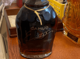 CAMUS：エクストラなど3点