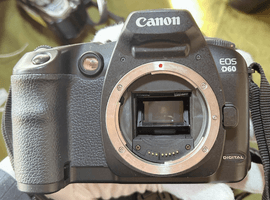 Canon：ボディ／Nikon：交換レンズ付きボディなど5点