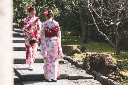 比較的美品 すごい値！小紋 着物 袷 人間国宝 南部芳松 伊勢型紙 正絹