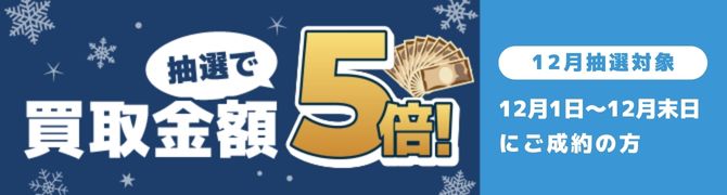 オポッサム毛皮の買取相場は？高く売れる特徴と買取方法を解説